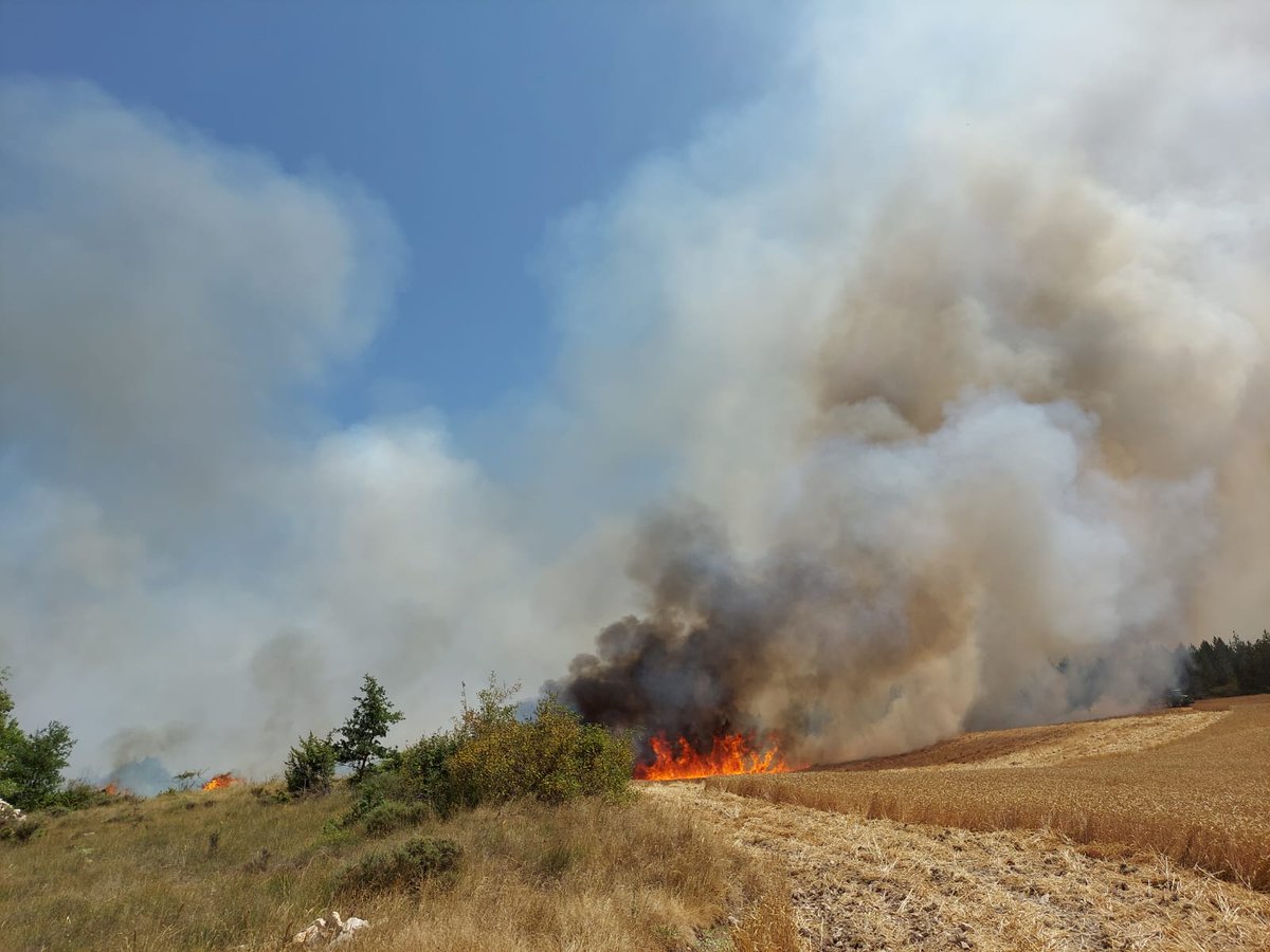 AT_Brif's tweet photo. 15:19📸#IFAlbaina #Burgos
Ya sobre el terreno @briflubia a plantear estrategia de ataque.
#IIFF
Somos #BRIF de @mitecogob https://t.co/tYEjsnjV89