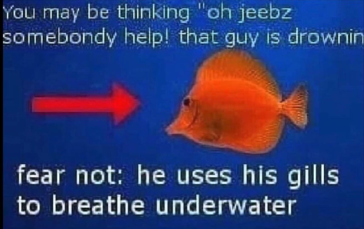 RespectfulMemes's tweet photo. https://t.co/eDWoCop7zg