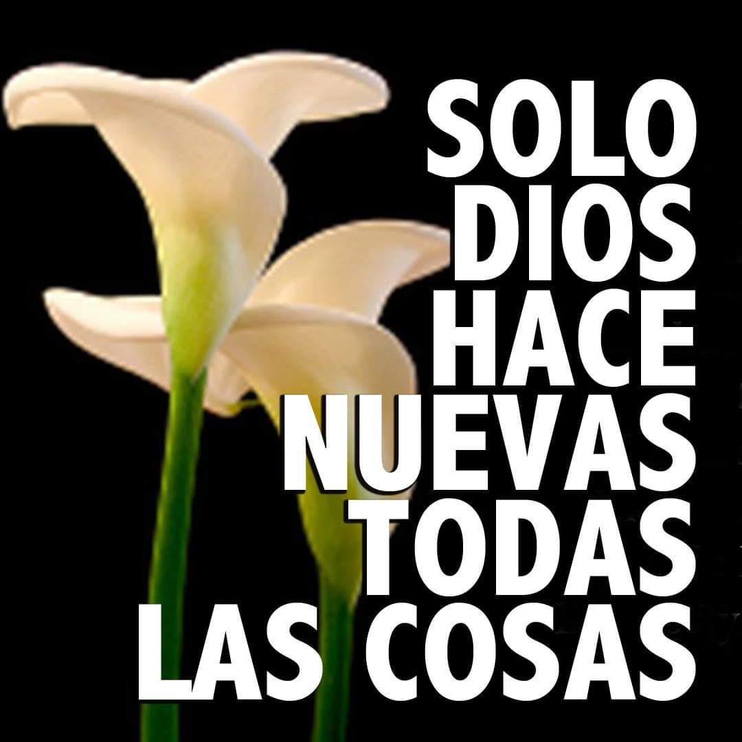 RuizHurtadoRE's tweet photo. FELIZ JUEVES!!
SOLO DIOS, HACE NUEVAS TODAS LAS COSAS!! "#NoTeAbandones a la tristeza, porque el Señor está siempre con nosotros" -PADRE PIO https://t.co/CRkSizb798