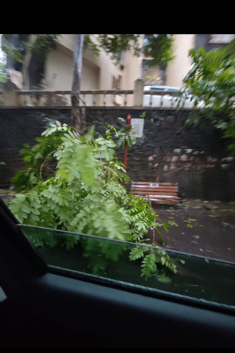 Tree Fallen at Yogi Hill's Bus Stop. Please help clear it at earliest.

<a href="/mulund_info/">मुलुंड info</a> <a href="/mybmcWardT/">Ward T BMC</a>