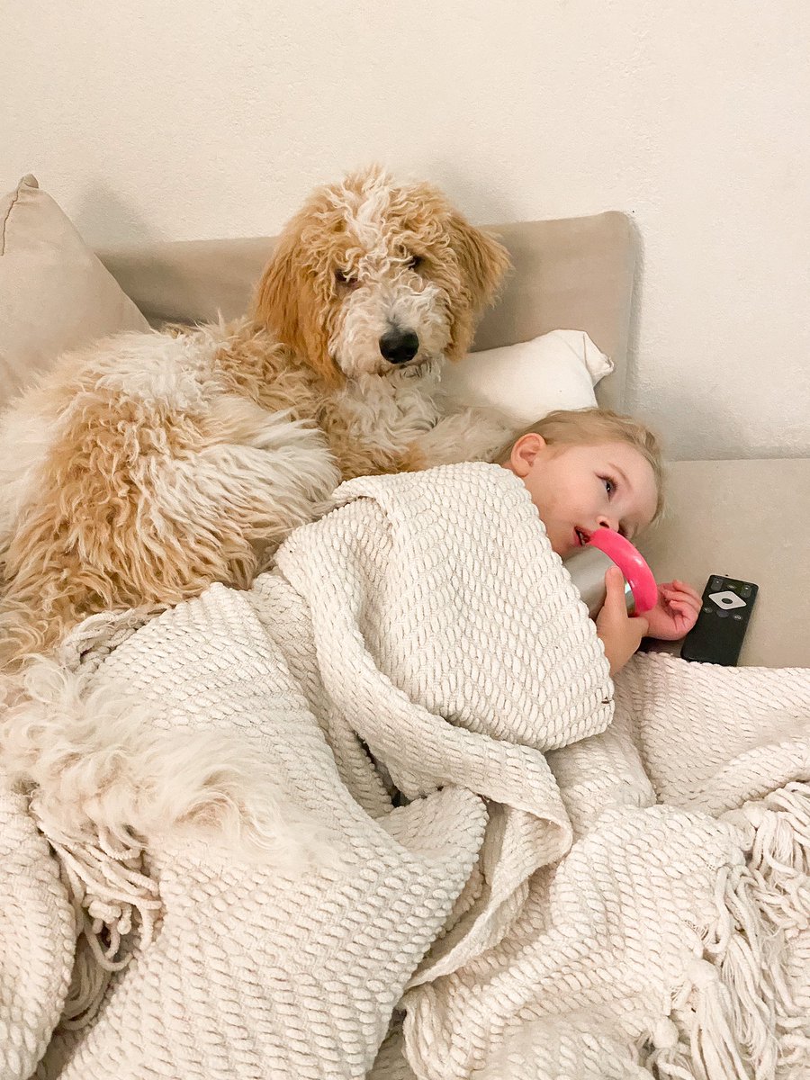 Brittany tweet media