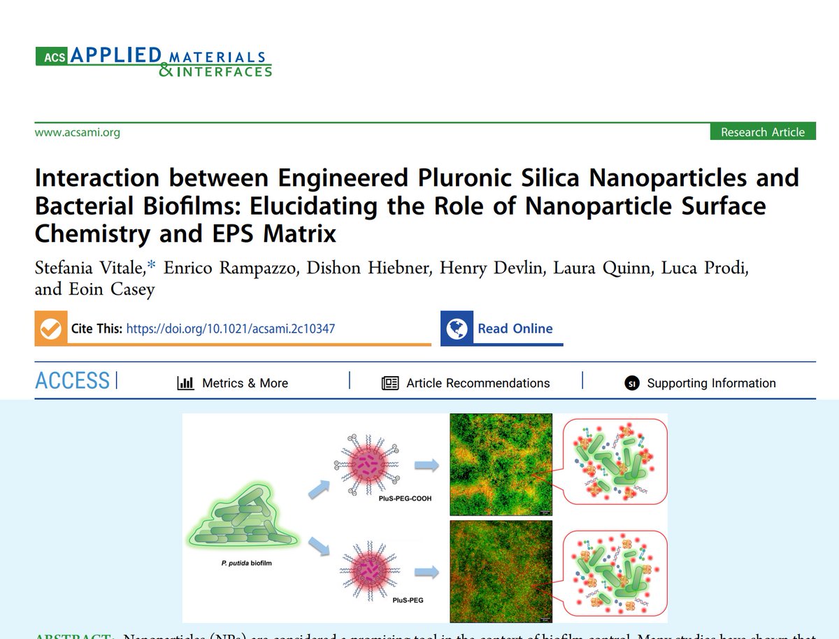 Eoin Casey (@eoin_casey_ucd) on Twitter photo New article from our @scienceirel funded project on biofilm-nanoparticle interactions. Led by <a href="/steff_vitale/">Stefania Vitale</a> and involving a collaboration between <a href="/Biofilm_Lab_UCD/">Biofilm Lab at UCD</a> and <a href="/Ciamician_unibo/">Dept. Chemistry Ciamician - University of Bologna</a> this paper is published in <a href="/ACS_AMI/">ACS Applied Materials & Interfaces</a> Read it at pubs.acs.org/doi/full/10.10… New article from our @scienceirel funded project on biofilm-nanoparticle interactions. Led by <a href="/steff_vitale/">Stefania Vitale</a> and involving a collaboration between <a href="/Biofilm_Lab_UCD/">Biofilm Lab at UCD</a> and <a href="/Ciamician_unibo/">Dept. Chemistry Ciamician - University of Bologna</a> this paper is published in <a href="/ACS_AMI/">ACS Applied Materials & Interfaces</a> Read it at pubs.acs.org/doi/full/10.10…