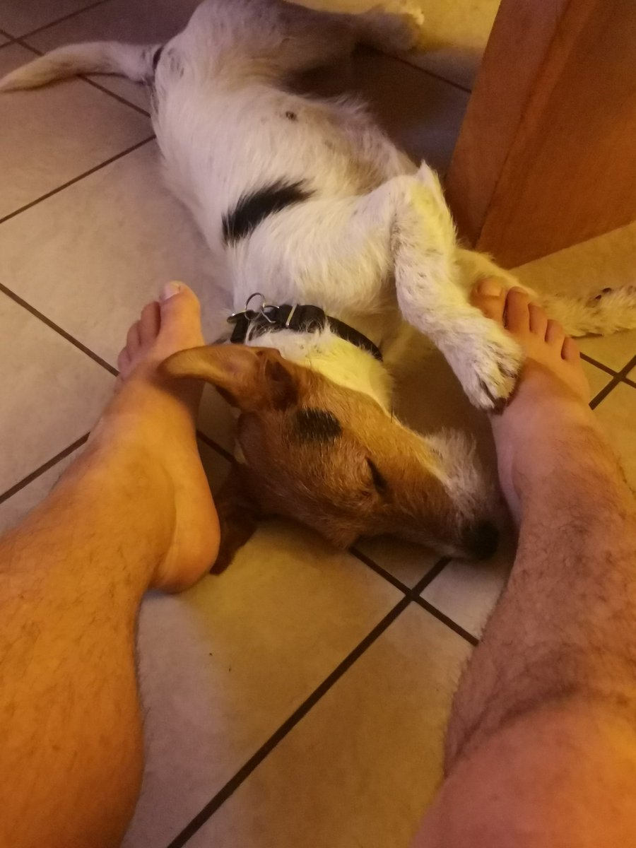 laurentduval's tweet image. Peace and tranquility to Earth #roudoudou