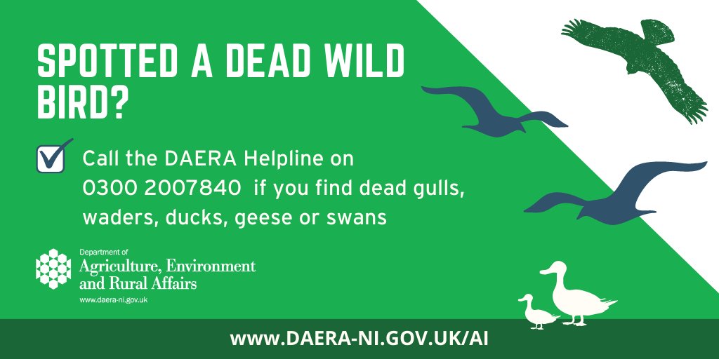 Please RT: If you come across a dead or sick seabird, please do not touch it and keep your pets away. ☎️Report it to us on 0300 200 7840 #birdflu