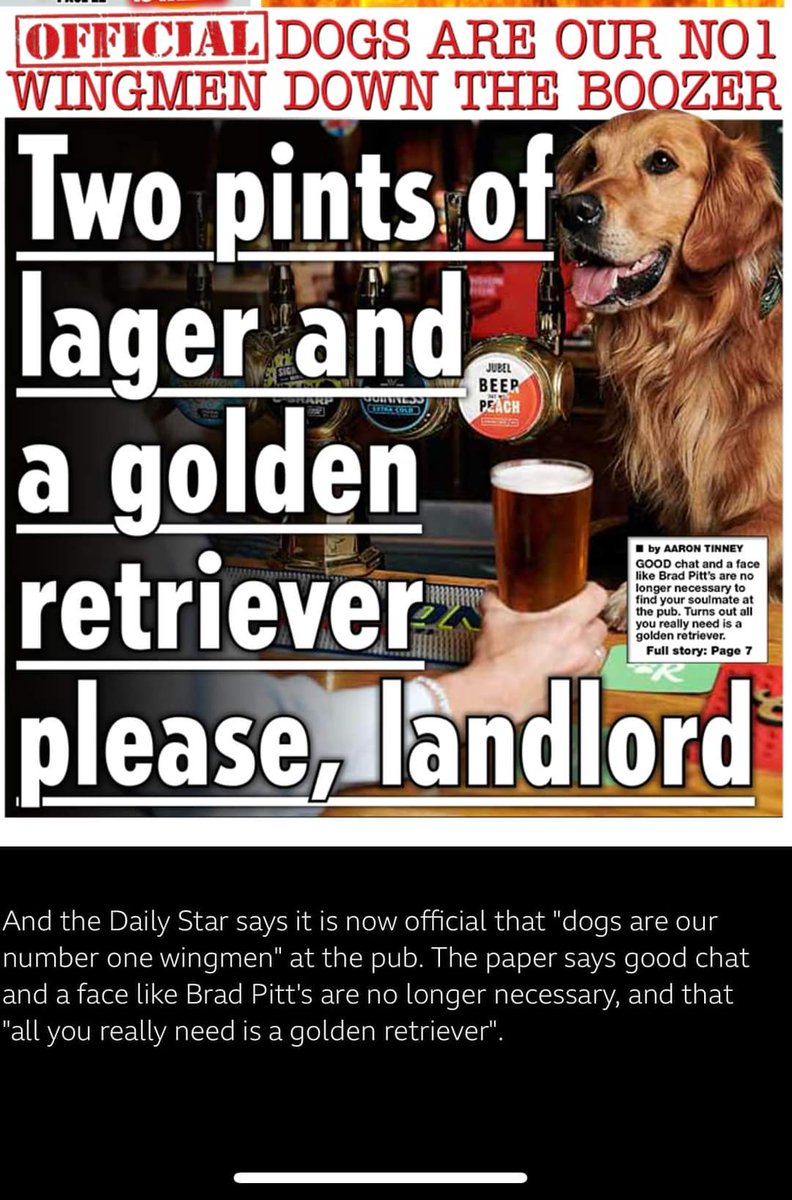 Happy to be hired as a wingman if you're visiting <a href="/TheCellarHouse/">The Cellar House</a>. Fee is just a packet of <a href="/PoochsTreats/">Pooch's Dog Treats</a> from <a href="/PostEaton/">CoffeeandCocktails</a>. Any flavour. I'm flexible!