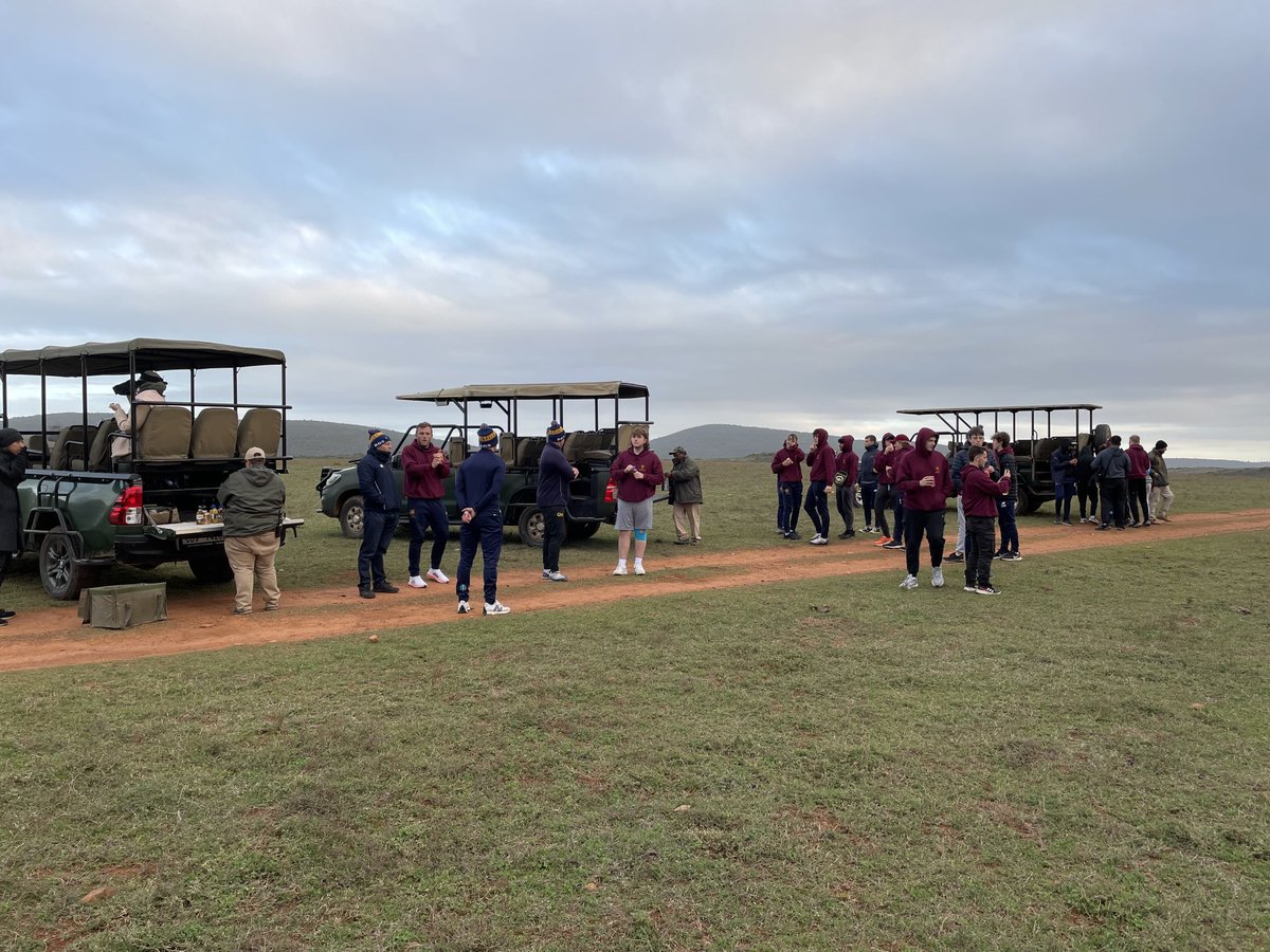 BGSRUFC's tweet photo. Great 1st Safari Drive #Lions #Elephants #WhiteRhino #Mongoose #CheetahKill #Africa #BGSRugby2022 #Safari #Loma https://t.co/711V8GbfrJ