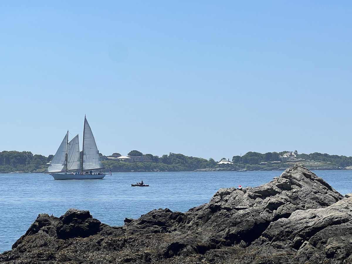 SharpKoty's tweet photo. Our research group @myrwu spent a beautiful day in the field observing/learning/collecting - excited about their work focused on interactions among microbes, algae, and corals in our temperate coastal ecosystems. #undergradresearch #WomenInSTEM 
Thanks @RIINBRE @RIEPSCoR! https://t.co/qxJ6pnP5k7