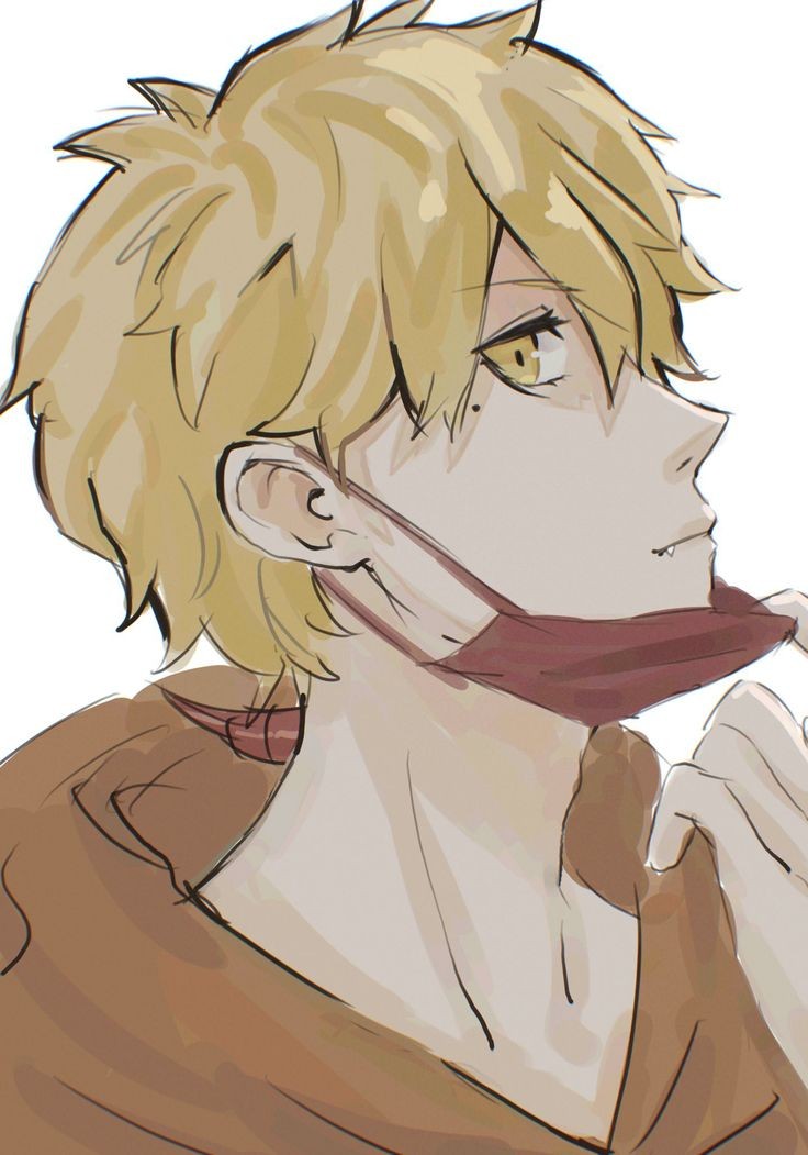 Safa✨️ tweet media