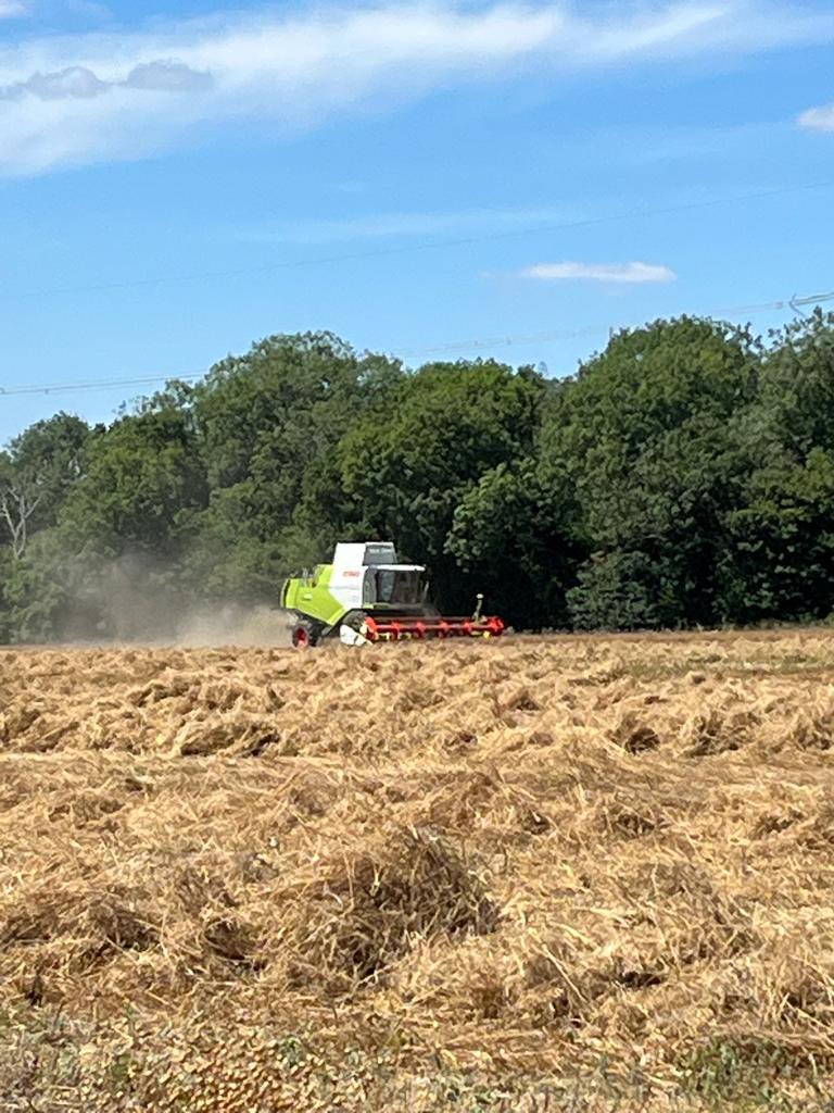 PremiumCrops's tweet photo. Here we go, winter #linseed #harvest2022 https://t.co/SN8NrJ4UNy