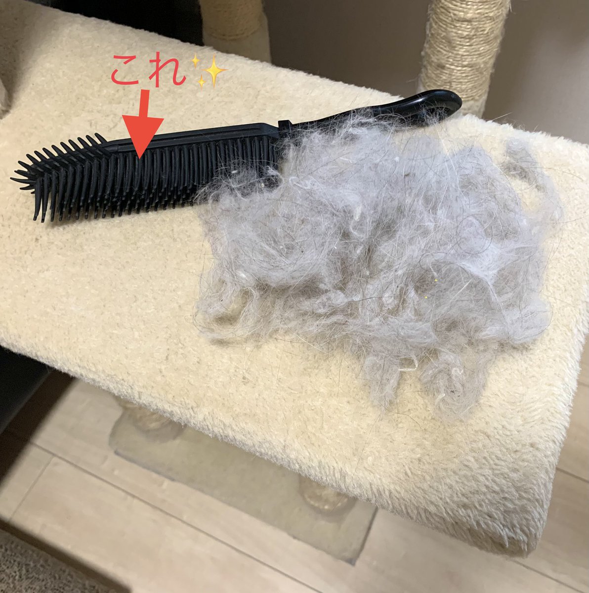 gomataro14's tweet photo. キャットタワーに付いていた自分の毛に引き気味の��ま🐈‍⬛

意外と優秀な100均グッズ✨
キャットタワーのお掃除に大活躍♡

#ノルウェージャンフォレストキャット 
#猫の居る暮らし https://t.co/4TENdeFWwY