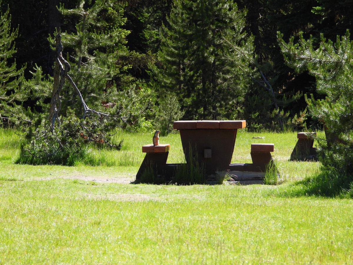 pnwkate's tweet photo. The service is lousy in this place - I’ve been waiting for hours!! 🤣🤣🤣

#nature #wildlife #bcroadtrip #bcparks #explorebc #hellobc #explorecanada #wildoutside #naturetherapy #mentalhealth https://t.co/dSf7MDiNa9