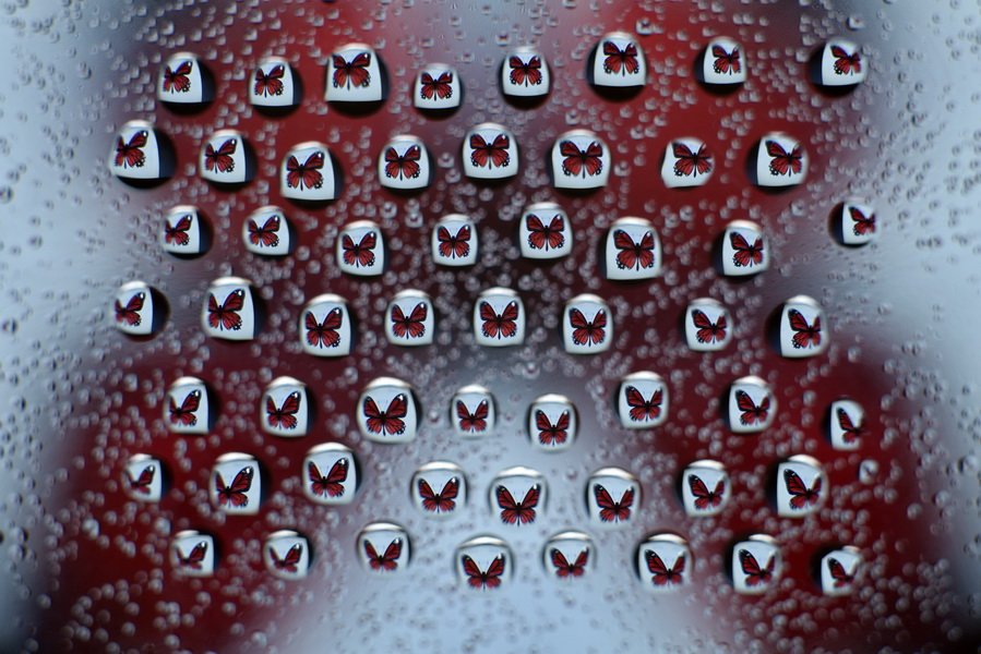 _m_yigit_'s tweet photo. Hi,
The magical beauty of tiny worlds.🫧💧📸🔎
"drops and macro"
@opensea 🦋
✅Edition : 1/1
✅Price : 0.025 eth
#NFTCommunity #nftphotography #Nftmacro
Link⬇️
https://t.co/HtYNht4X95
💜❤️🧡💙 https://t.co/sraP6z9yXA