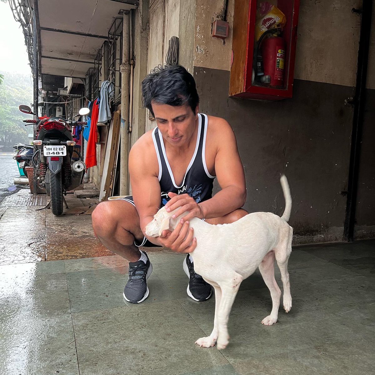 SecularTVnews's tweet photo. My new friend.. all thanks to mumbai rains 🤍😍
#sonusood #Seculartv #SonuSoodFanClub @Sonusoodfounda1 #soodfoundation #soodfoundations #SONUSOODFOUNDATION #mumbai
#soodcharityfoundation https://t.co/lTwG2onfRi