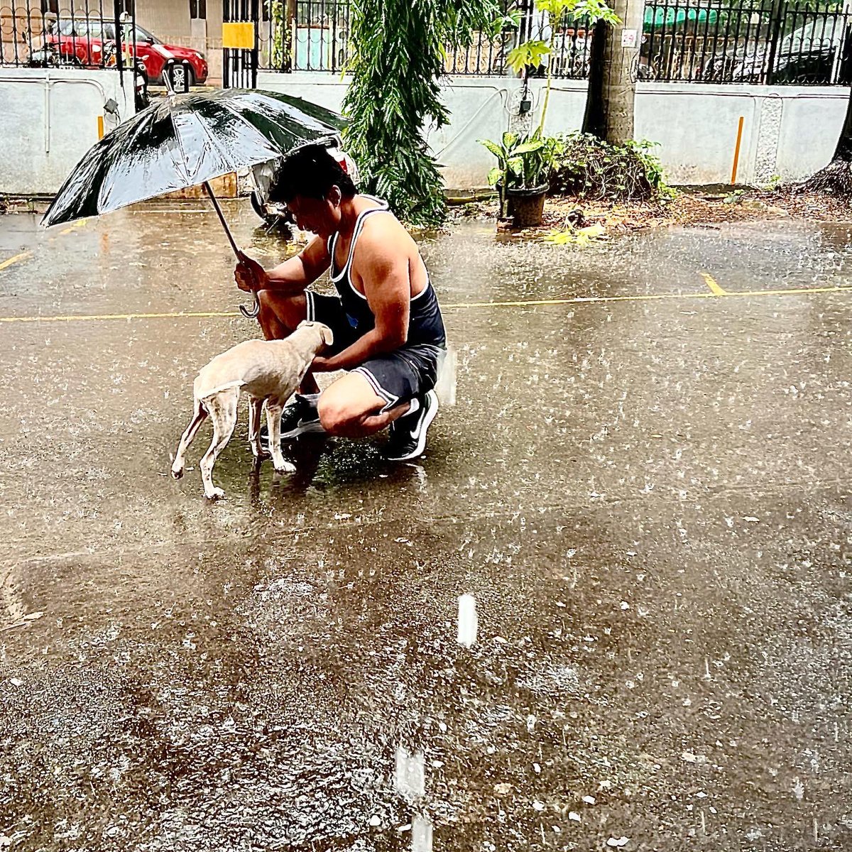 SecularTVnews's tweet photo. My new friend.. all thanks to mumbai rains 🤍😍
#sonusood #Seculartv #SonuSoodFanClub @Sonusoodfounda1 #soodfoundation #soodfoundations #SONUSOODFOUNDATION #mumbai
#soodcharityfoundation https://t.co/lTwG2onfRi