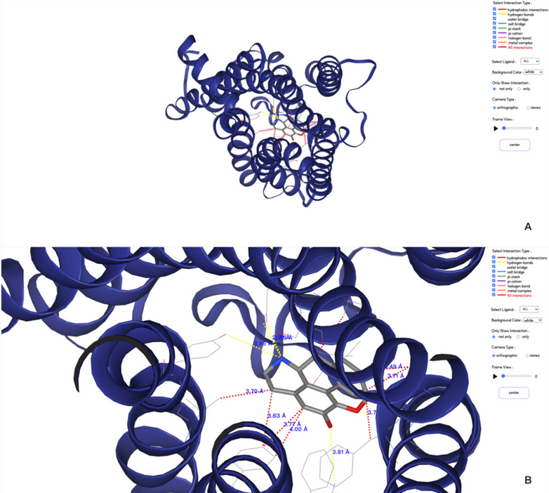 Molecules_MDPI's tweet photo. #RecommendedPaper #HighlyAccessedPaper
MolADI: A Web Server for Automatic Analysis of Protein–Small Molecule Dynamic Interactions
By Hongchun Li, Shuguang Yuan, et al.
👉https://t.co/lg3wRSHquI
#protein–ligand
#trajectoryanalysis
#WebGL
#webserver https://t.co/iJL0kq9Bed
