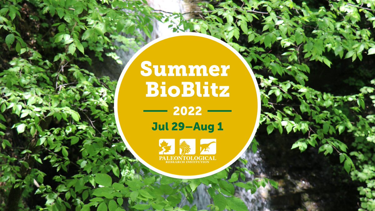 CayugaNature's tweet photo. Save the date &amp; get ready to BioBlitz! The summer BioBlitz starts Friday, July 29 and ends Monday, August 1! 🔎🌱 Learn more: https://t.co/rYzEE9fUO8 #twithaca #bioblitz https://t.co/u3Q8m3A5An