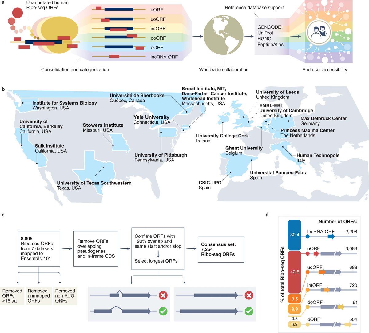 Roucoulab's tweet photo. OpenProt is glad to be part of this international collaboration for the annotation of unconventional yet translated ORFs. https://t.co/m78HdVWXq2 https://t.co/RwZP93bqgS