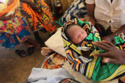 Health Builders tweet media