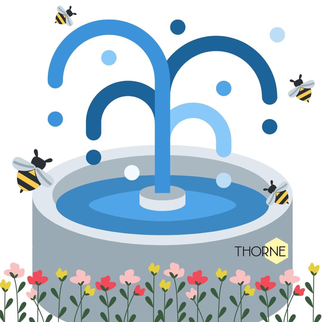 With these rising temperatures, please make sure you have enough water out for the bees! 🐝 Make use of pebbles, corks, etc, to make sure they have something to land on! #thornebeehive #lookafterthebees