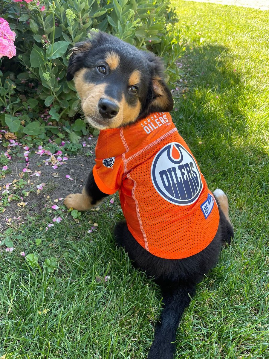 Doug Norris on Twitter "RT EdmontonOilers BREAKING NEWS Jack