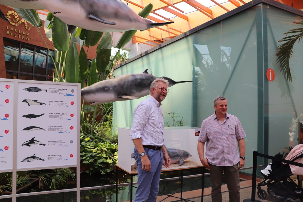 GreatGreyTryjan's tweet photo. #delfiny #wystawa @zoowroclaw @izpuls - teraz nasze foty;-) https://t.co/YpfOADGe0q