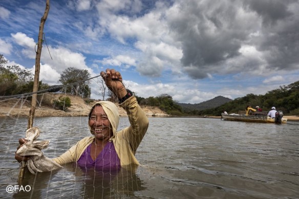 Aquatic food systems contribute to:
- food security
- reduce climate change impacts
- alleviate poverty
- gender equality

#BlueTransformation works towards better nutrition through sustainable fisheries and #Aquaculture 

Learn more here 👉fao.org/3/cc0459en/cc0…