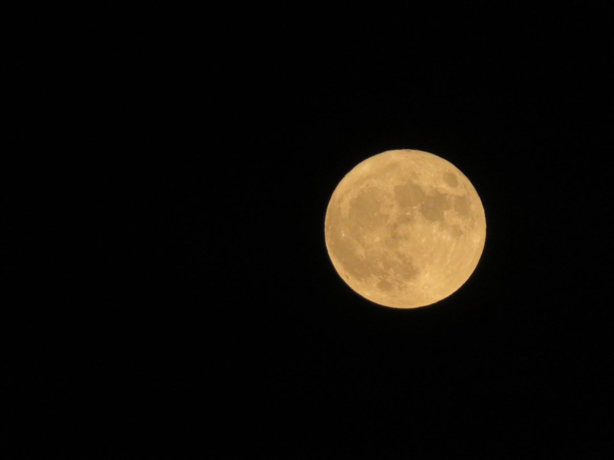 verddu's tweet photo. Full moon https://t.co/YBIXcuUgLr