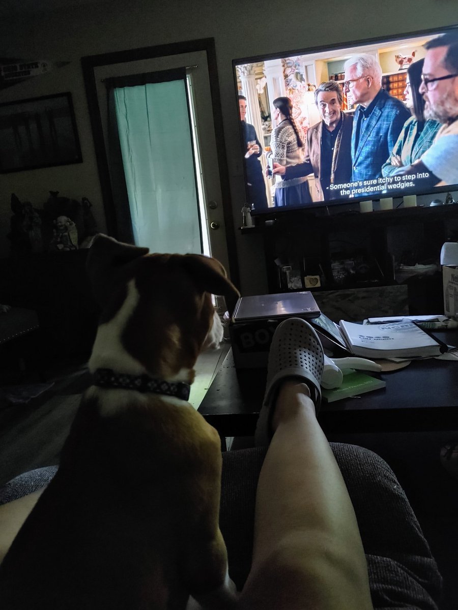 LizardRaterman's tweet photo. @SteveMartinToGo @OnlyMurdersHulu Apparently my puppy loves your show too. We love Season 2! https://t.co/WDjU815hg6