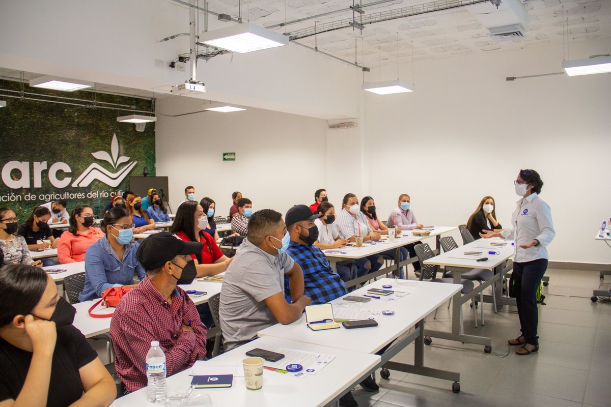 aarc_culiacan's tweet photo. Hoy en nuestras instalaciones se capacitaron socios y colaboradores de Veggies From Mexico de la mano de nuestros amigos de NSF Latinoamérica con el curso Actualización de la versión 3.2 del esquema de certificación #PrimusGFS📘🌱✅ https://t.co/0kl1ISpgYs
