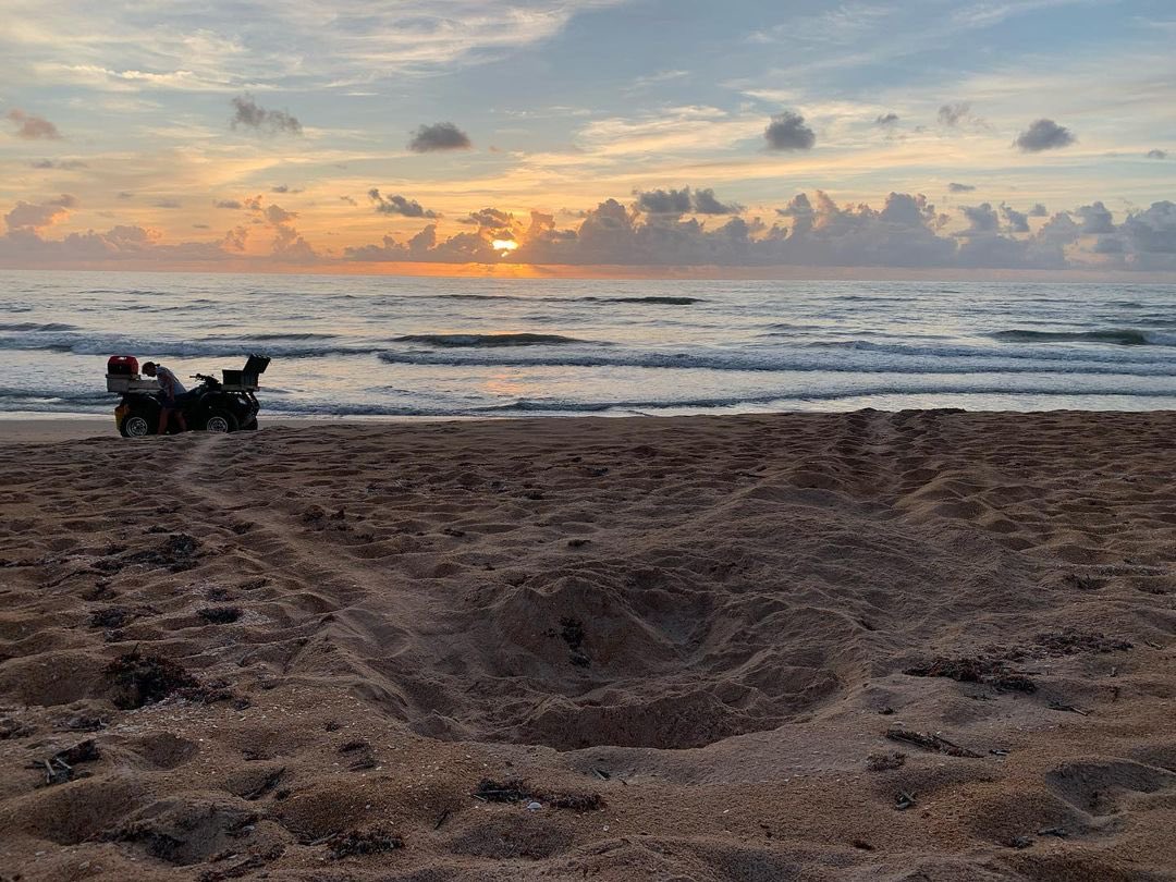 FLStateParksFdn's tweet image. Raise your hand if you’re on sea turtle patrol this summer!

IG: @stephdyork
At Gamble Rogers Memorial State Recreation Area at Flagler Beach

floridastateparks.org/learn/sea-turt…. 

#FloridaStateParks #ExploreFlorida #SeaTurtleNesting #TurtlePatrol