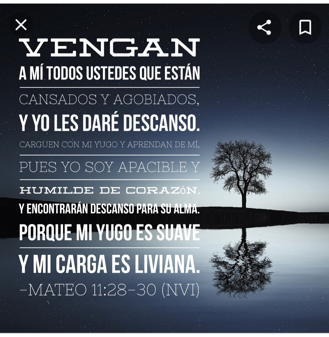 Señor, me invitas a ir a ti cuando estoy cansada y agobiada a cargar con tu yugo y a aprender de ti ,manso y humilde de corazón.Por eso convierto tu gran consejo en oración del corazón que repito siempre: JESUS MANSO Y HUMILDE DE CORAZÓN HAZ MI CORAZÓN COMO EL TUYO Paz y bien .