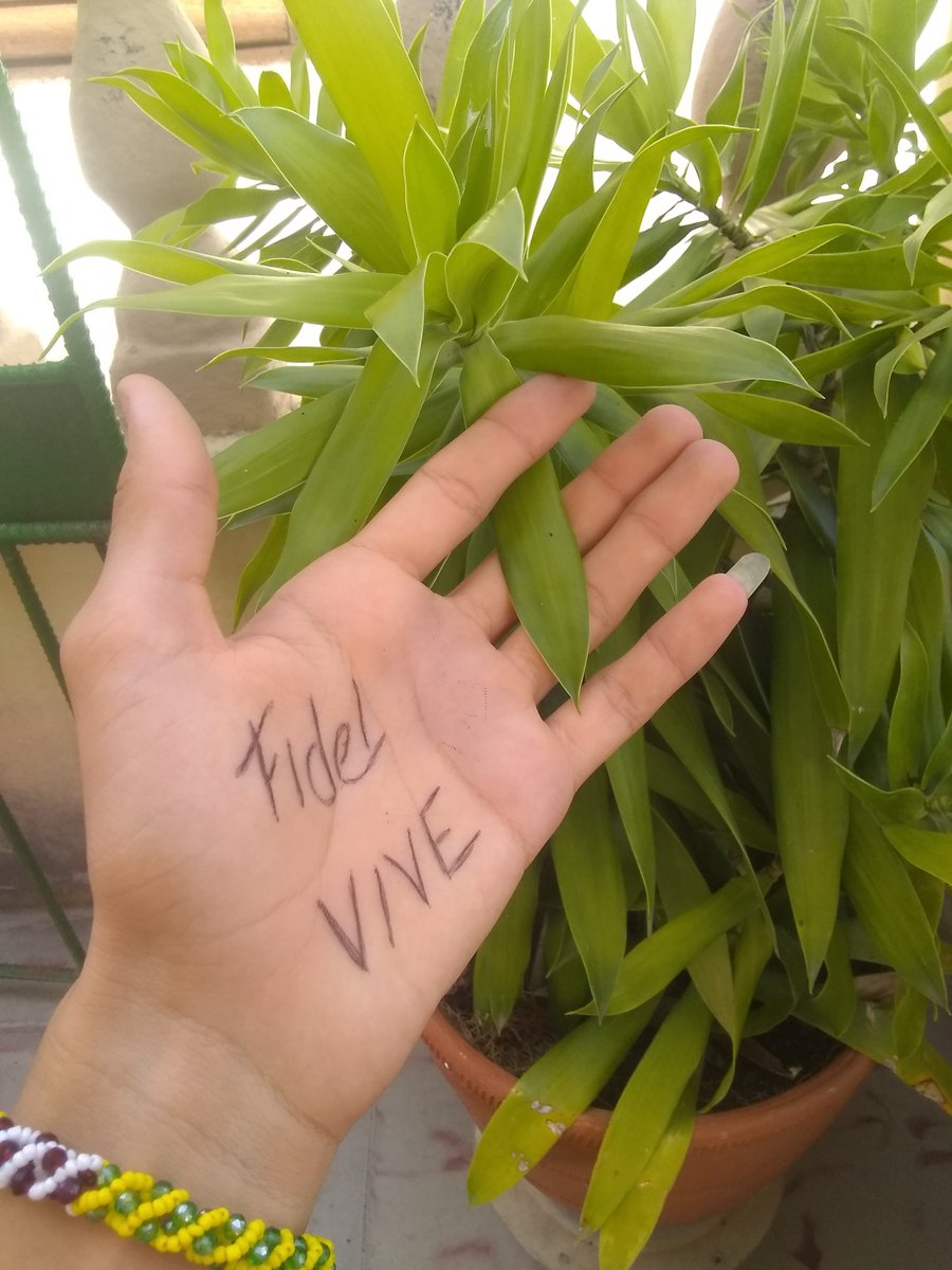 Desde temprano en la #IsladelaJuventud la <a href="/FeemPinera/">FEEM-PINERA</a> se suma al reto de la hermana Ana Hurtado y sacamos nuestra mano por Fidel.
#CubaPorLaPaz #SiempreEs26 
@FEEMdeCuba_ <a href="/MarcosM69977869/">Marcos Michel</a>