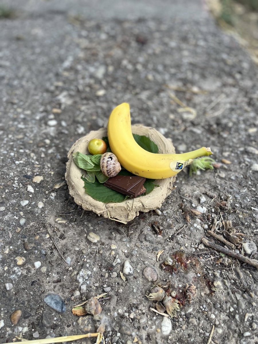 Designing infrastructures for urban food production, belonging, and universal basic services 🌱

Really enjoyed our session at the Social DesignSummer School at #DieAngewandte - exploring Hybrid Thinking in Public Spaces!