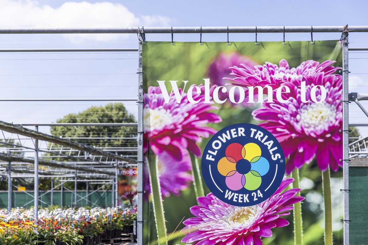 The vibe matched the weather this year; positive, cheerful, excited and very sunny.
#flowertrials #whereplantsmeetpeople