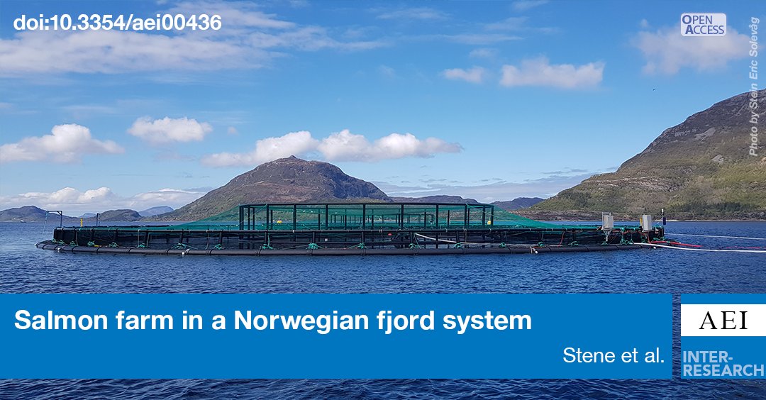 By combining existing strategies to control sea-lice on farmed salmonids with the strategy used by nature to reduce salmon lice infection pressure on wild stocks, all salmonids along the coast would stand a better chance of surviving. 
bit.ly/aei_14_181
