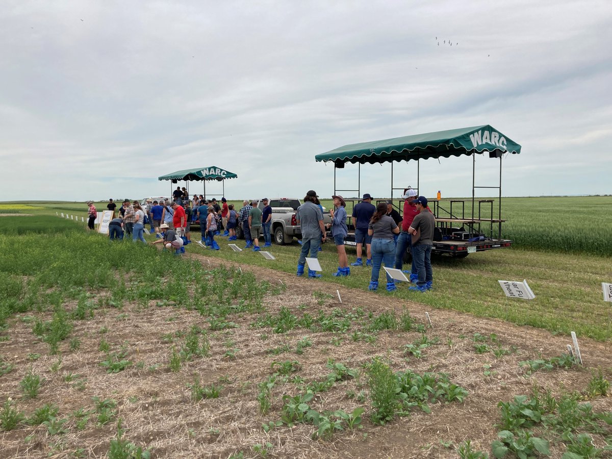 WARC_SK's tweet photo. Thank you to everyone who attended the Scott Field Day on July 13th. We hope you enjoyed the sessions and found them informative. A big thank you to all the sponsors whose contributions help make events like this one possible! #ScottFieldDay https://t.co/AduIAQXvG8
