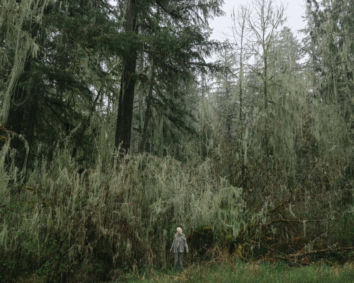 Sleeping in the forest