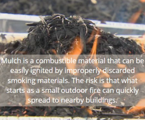 TOLFireRescue's tweet photo. With the hot, dry weather we have been experiencing lately, we want to remind everyone never to dispose of smoking materials in potted plants or garden beds. A small fire can grow large, fast. https://t.co/Yvz5zYwfXj