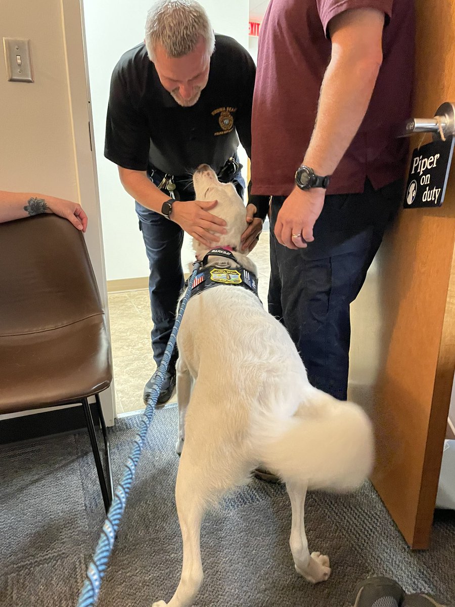 It’s a good day at VBPD! #OfficerWellness
<a href="/VBPD/">Virginia Beach Police Department</a>
#mindfulness
#resiliency
#comfortdog
#optimism
#rescuedog #dogs #policedog #peersupport