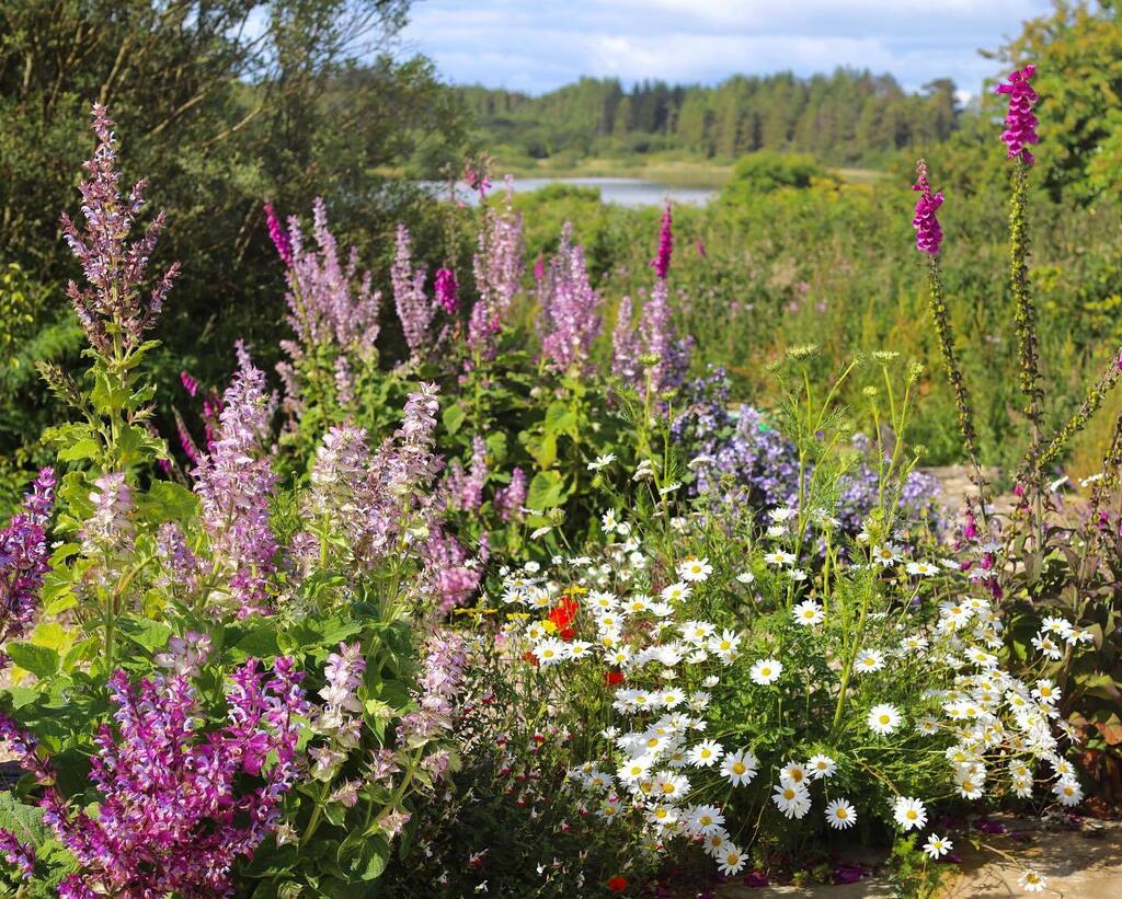 The joy of summer flowers! #irishgardens #waterford