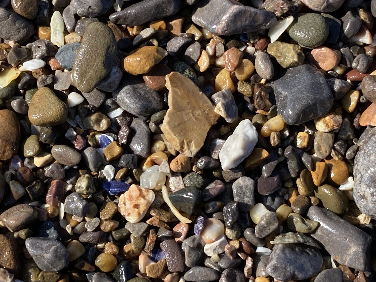 Morning walk with the dog ☀️
Love being by the sea💙