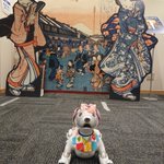 ツイートに含まれる画像