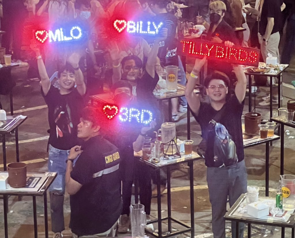 TillyBirds tweet media