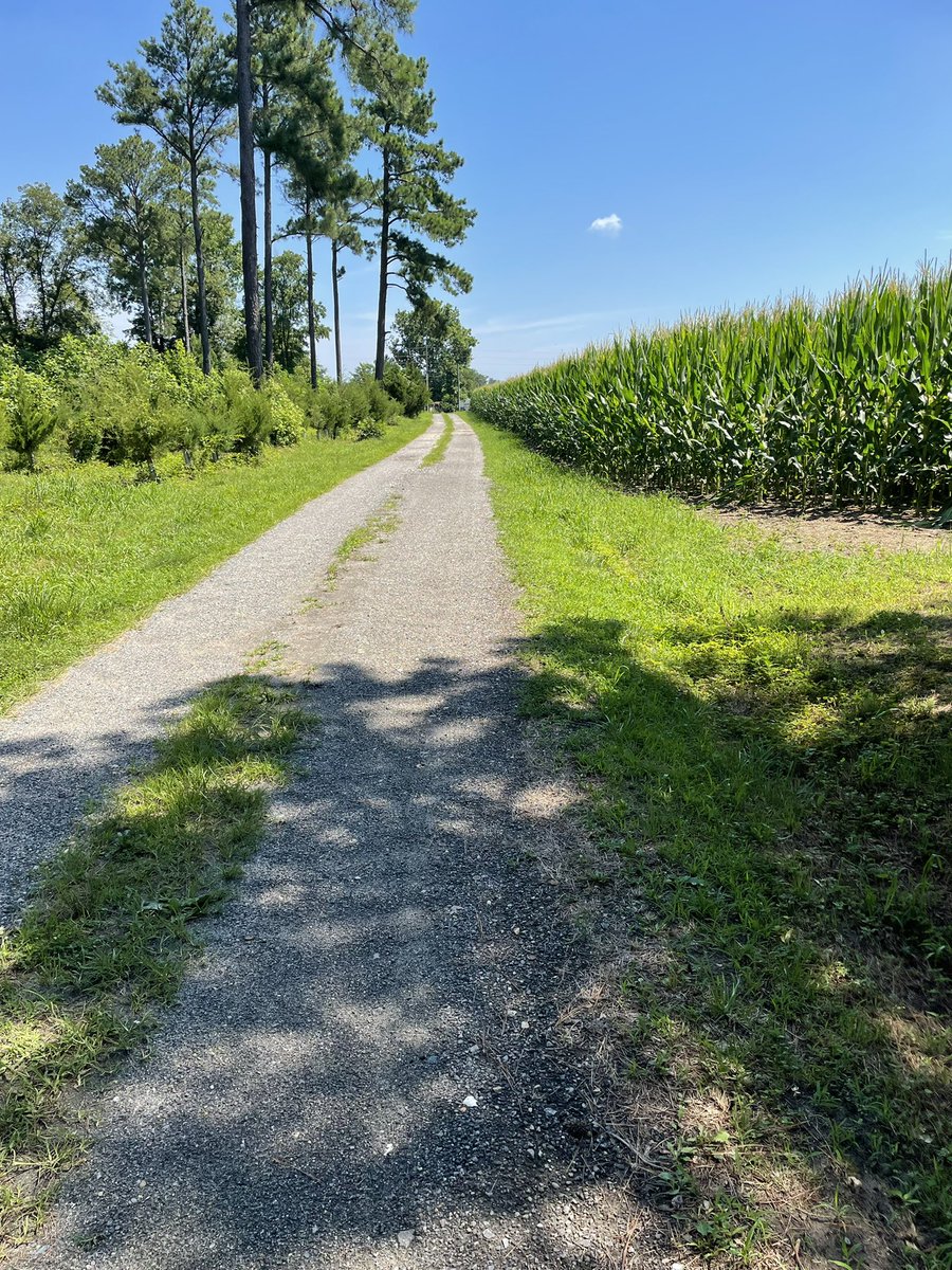 virtty's tweet image. TW OUTDOORS ik yall are allergic to this shit