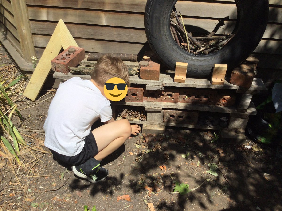 ThamesideSch's tweet photo. Building work has begun on the Year 1 minibeast hotel. #Year1tps #YSCtps #YRStps #teamwork If you have any planks of wood, plant pots etc that could help us continue our build it would be greatly appreciated. Thank you! #belonging https://t.co/BYXjXn2udQ