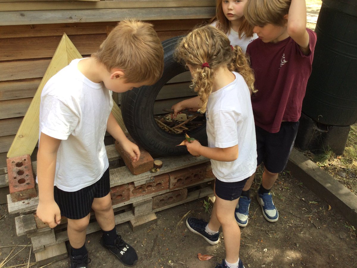 ThamesideSch's tweet photo. Building work has begun on the Year 1 minibeast hotel. #Year1tps #YSCtps #YRStps #teamwork If you have any planks of wood, plant pots etc that could help us continue our build it would be greatly appreciated. Thank you! #belonging https://t.co/BYXjXn2udQ