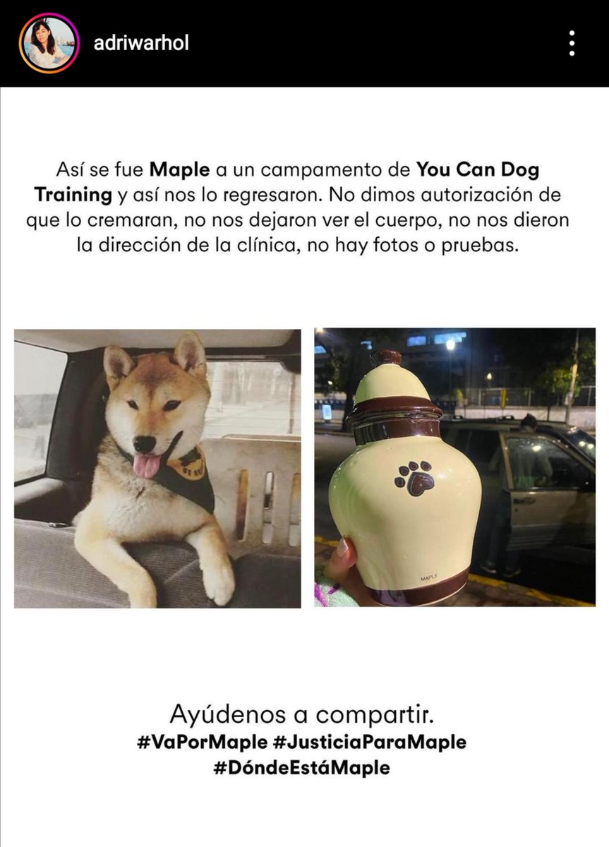 figueroa_xcaret's tweet photo. A Maple se lo llevaron a un campamento y regresó en una urna.
#JusticiaparaMaple #DóndeestaMaple #vapormaple https://t.co/oP0HJoq9qd