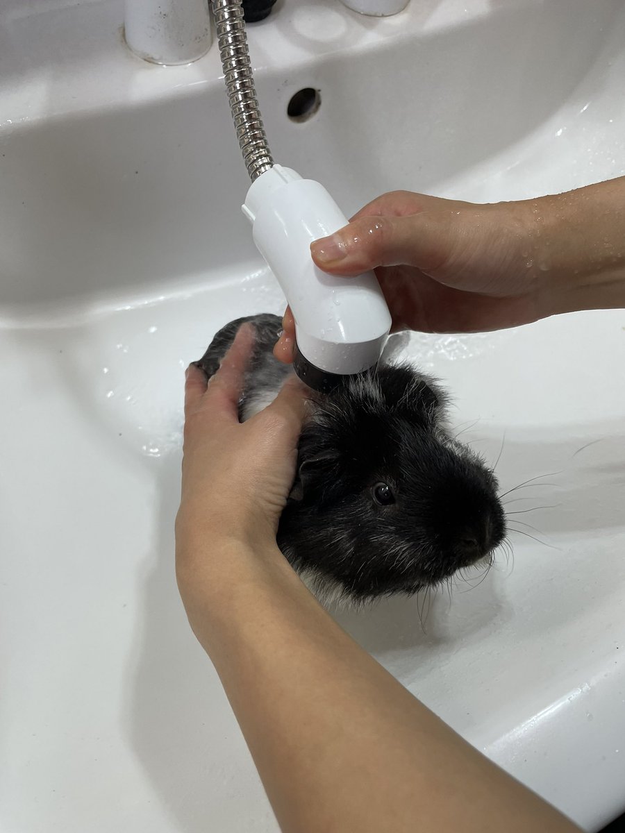 打たせ湯大好きメイちゃん😂