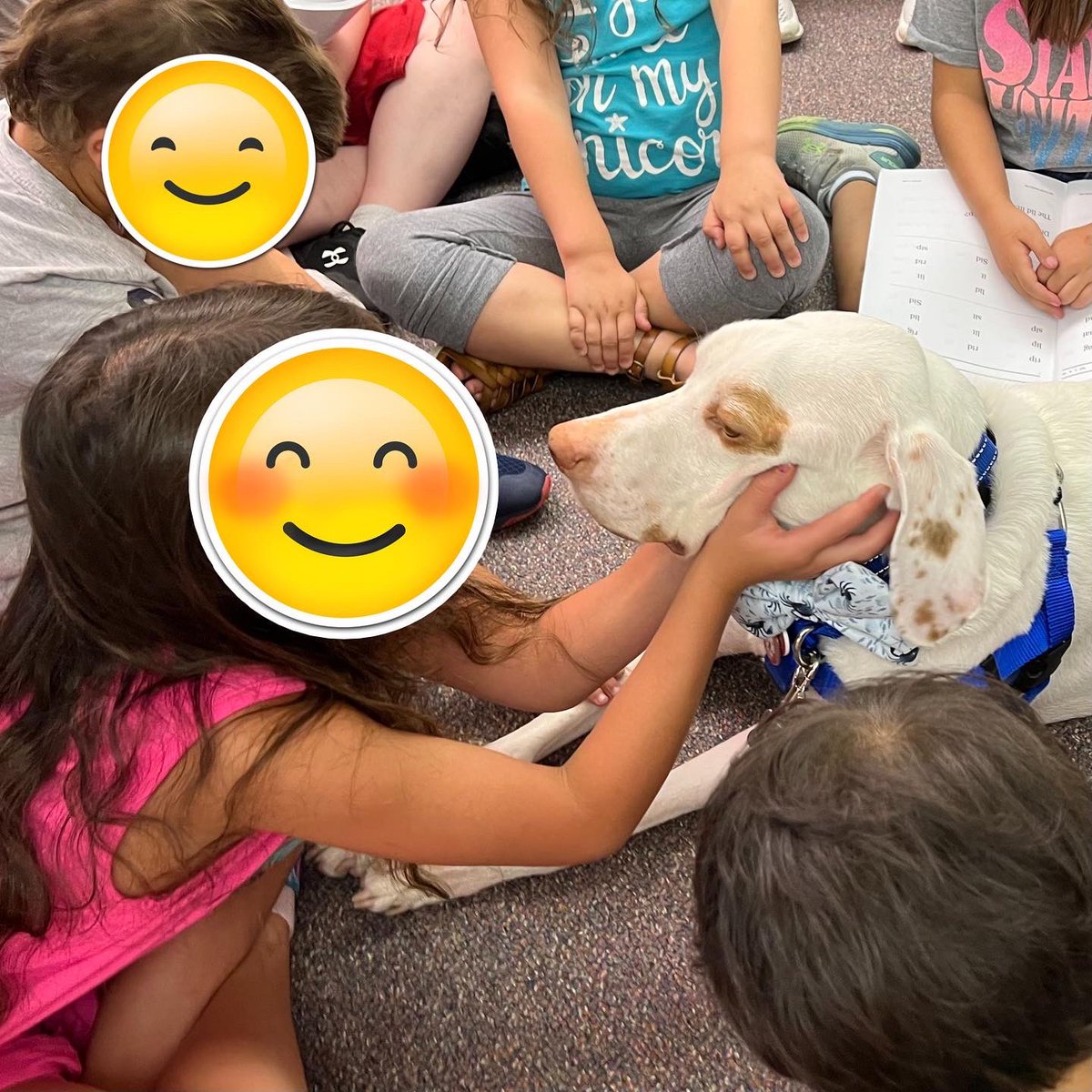 CellosCorner's tweet photo. Continuing our “Under the Sea” theme, this week Porter rocked his 🦀 bow tie during his visits at the ESY programs of the Shamong Township &amp; Northern Burlington School districts. The kids (&amp; adults!) are having fun  guessing what sea creature will be on Porter’s tie next week! https://t.co/FXyiupov0a