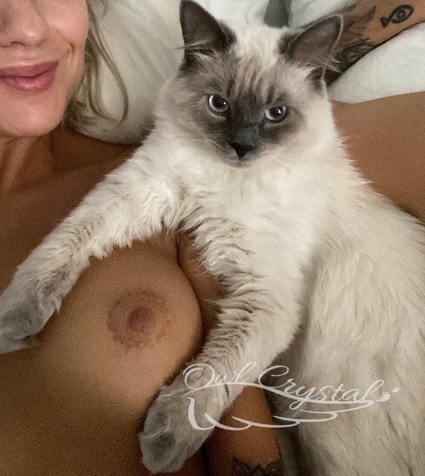 This boob is guarded by a #cat  😅
#Girls #nudsgay #xxx #goodmorning #nsfwtw #nsfwtwt #kittens #animegirl